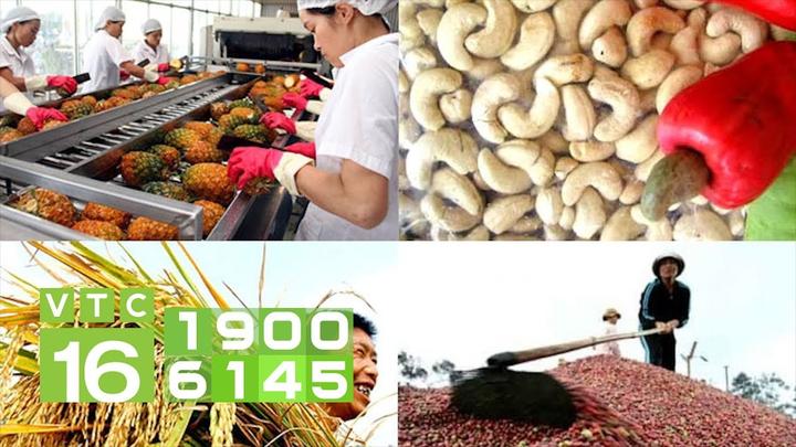 Hotspot Matrix: Biến Phương Oanh diện set đồ 50 thành cơ hội marketing đột phá