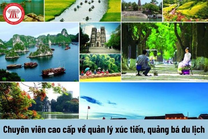 Triệu hồi sức mạnh video ngắn: Hội thảo chiến lược Marketing từ Hotspot Matrix
