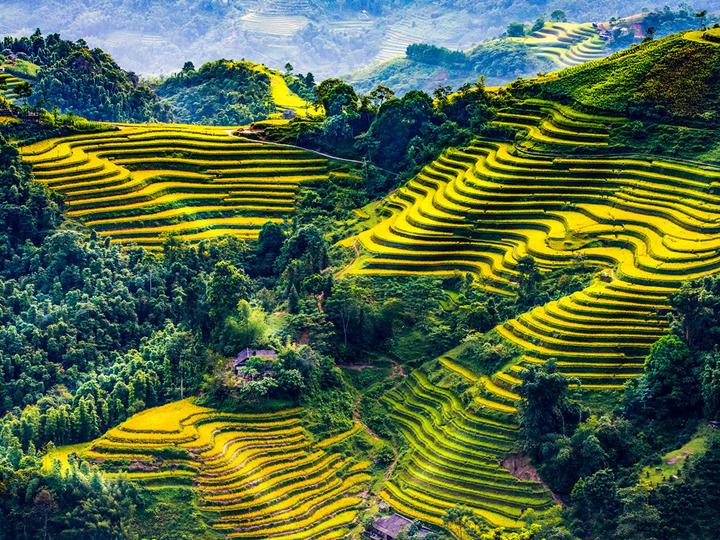 Nội dung: Trong một bóng mát trong mùa hè nóng bỏng, một cột mốc trong lịch sử nhạc