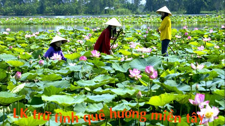 Xu hướng Đắp thứ này lên da 1 lần/tuần: Hotspot Matrix tiết lộ bí quyết video viral