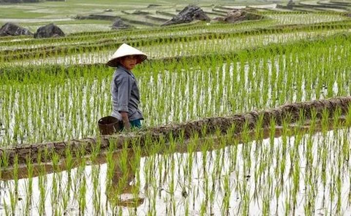 Xu hướng Sốc: Vụ tố