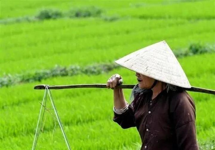 Xu hướng Độc lạ: Một công ty Việt: Hotspot Matrix tiết lộ bí quyết video viral