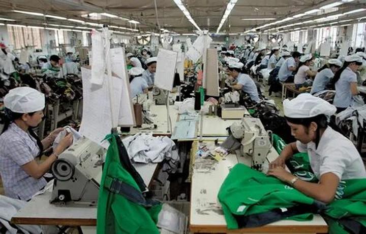 Bonobo: Nguồn Gốc Tiến Hóa Của Ngôn Ngữ Con Người?