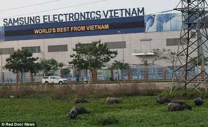 Hotspot Matrix và Nghiên Cứu: Người Phụ Nữ Không Ngủ 40 Năm